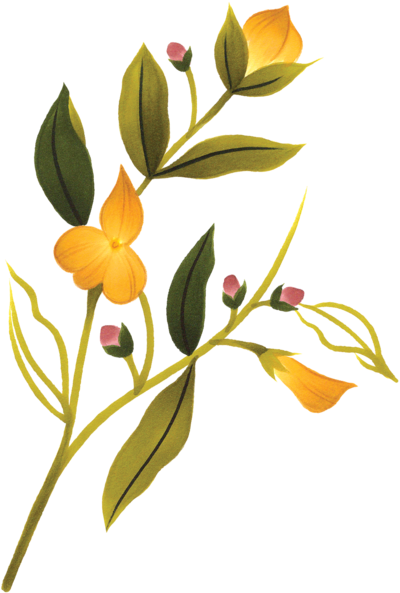 Eye Tattoo Png, Transparent - Transparent PNG Free Download