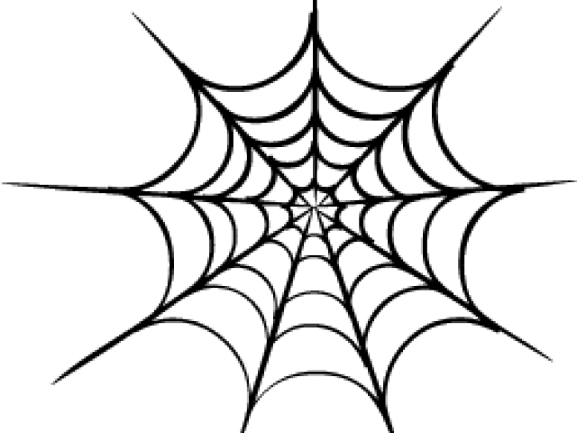 Spider Web Vector Png, Transparent - Transparent PNG Free Download