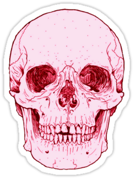#calavera #calaveras #pink #esqueleto #craneo #huesos - Tattoo Skull Front, HD Png Download - Transparent PNG Free Download