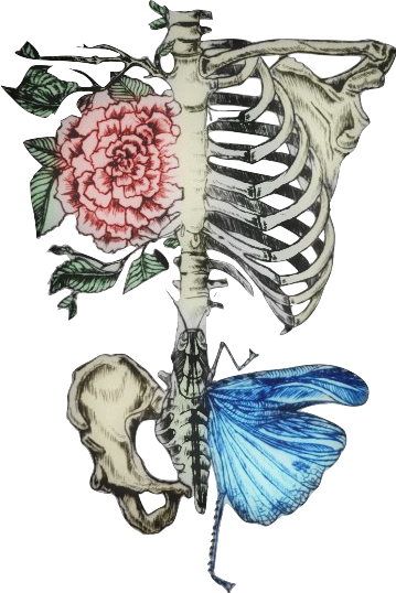 #skeleton #ribcage #roses #floral #bonewitch #humanbones - Floral Rib Cage Skeleton Tattoo, HD Png Download - Transparent PNG Free Download