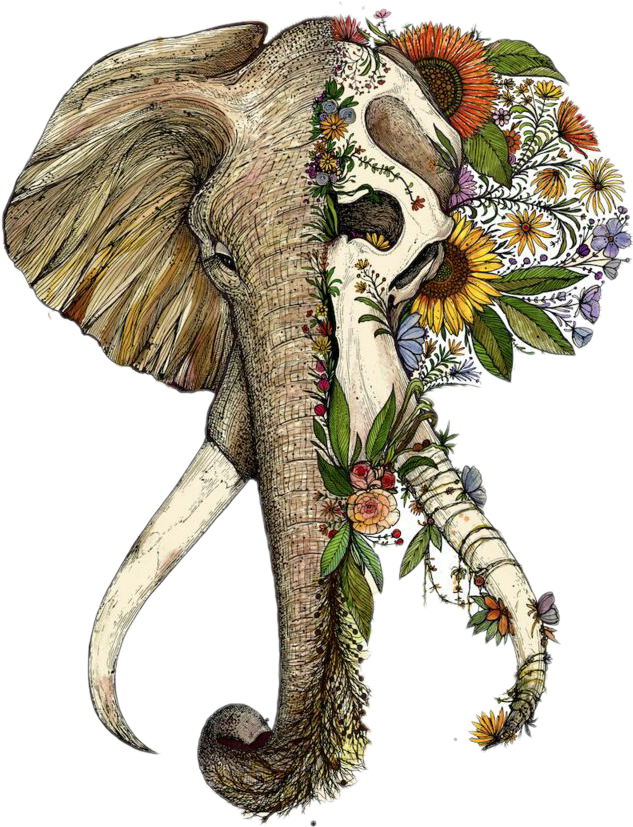 Elephant Half Skull Tattoo, HD Png Download - Transparent PNG Free Download
