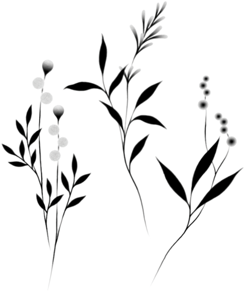 Single Rose Tattoo Stencil, HD Png Download - Transparent PNG Free Download