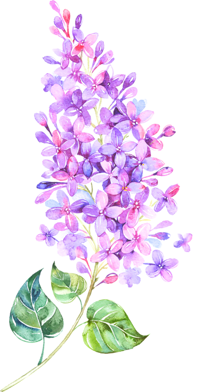 Tattoo Flowers Lilac, HD Png Download - Transparent PNG Free Download