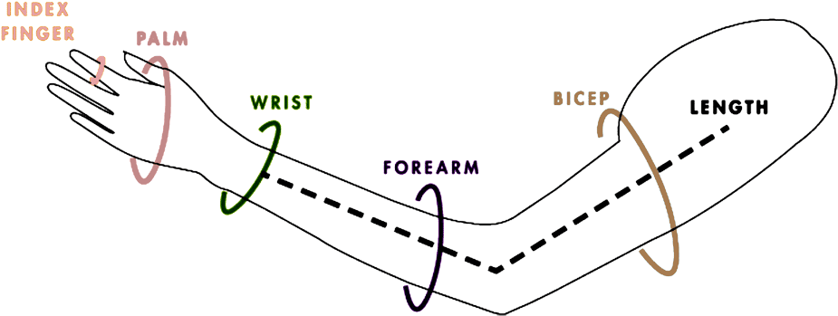Forearm Tattoo Size Chart, HD Png Download - Transparent PNG Free Download