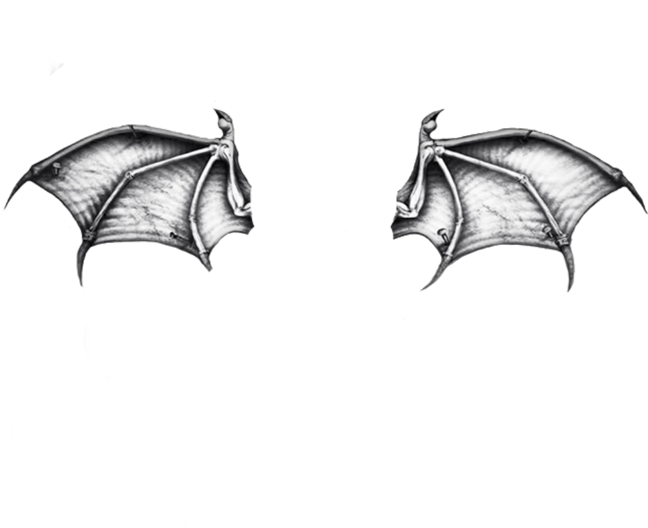 #bat #wings - Avenged Sevenfold Deathbat Tattoo, HD Png Download - Transparent PNG Free Download