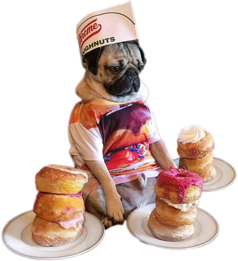 Funny Cheat Day Memes, HD Png Download - Transparent PNG Free Download