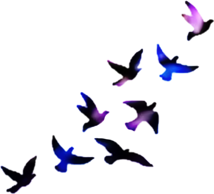 #palomas - Black Birds Tattoo Design, HD Png Download - Transparent PNG Free Download