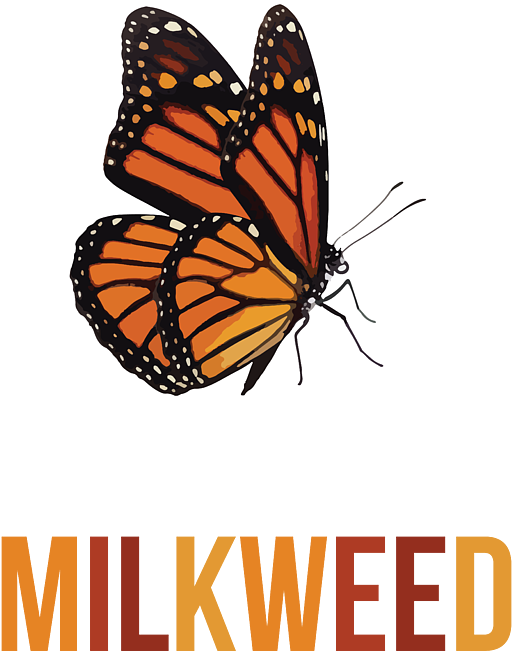 Monarch Butterfly Flying Tattoo, HD Png Download - Transparent PNG Free Download