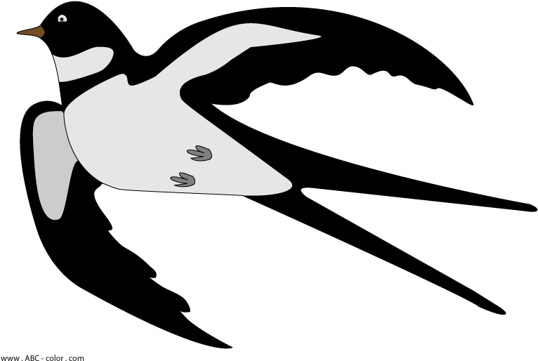 Clip Stock Raster Picture Download Bitmap - Bitmap Download, HD Png Download - Transparent PNG Free Download