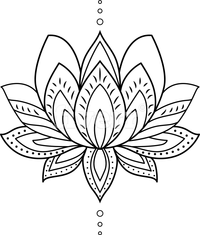 Line Art, HD Png Download - Transparent PNG Free Download