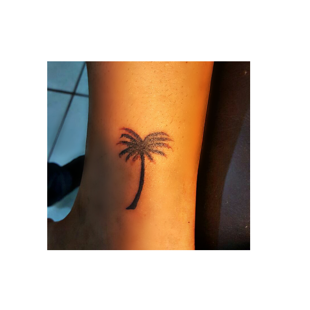 #palmera #tropical - Temporary Tattoo, HD Png Download - Transparent PNG Free Download