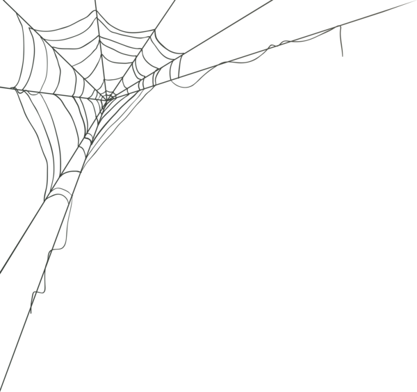 Spider Web Corner Png Clip Art Image - Transparent Background Spider Web Png, Png Download - Transparent PNG Free Download