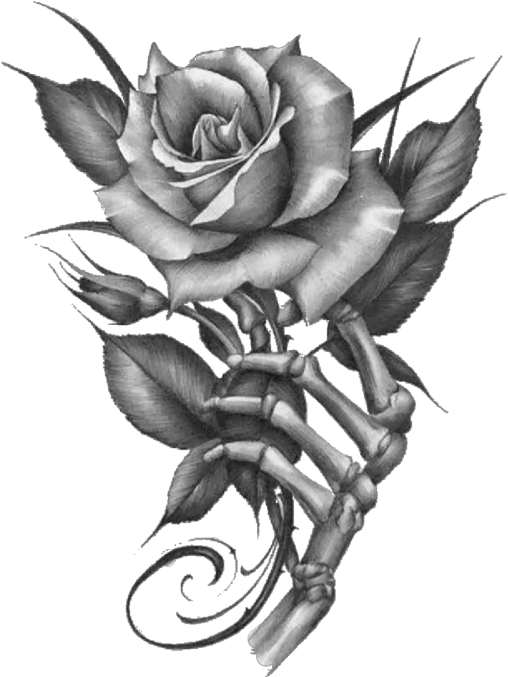 #black #rose #flower #nature #art #stickers #clipart - Tattoo, HD Png Download - Transparent PNG Free Download