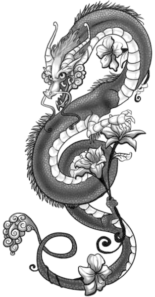 Tattoo Japanese Dragon Drawing Chinese Dragon - Dragon With Flower Tattoo, HD Png Download - Transparent PNG Free Download