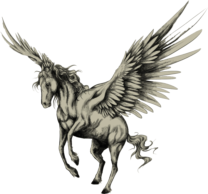 Tattoo Horse Pegasus Drawing Sketch Png Free Photo - Pegasus Tattoo, Transparent - Transparent PNG Free Download