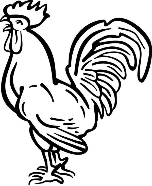 Transparent Rooster Clipart Black And White - Chicken Tattoo Png, Png Download - Transparent PNG Free Download
