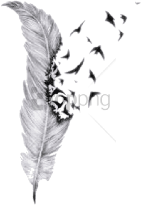 Transparent Feather Png Free - Feather With Birds Tattoo Design, Png Download - Transparent PNG Free Download