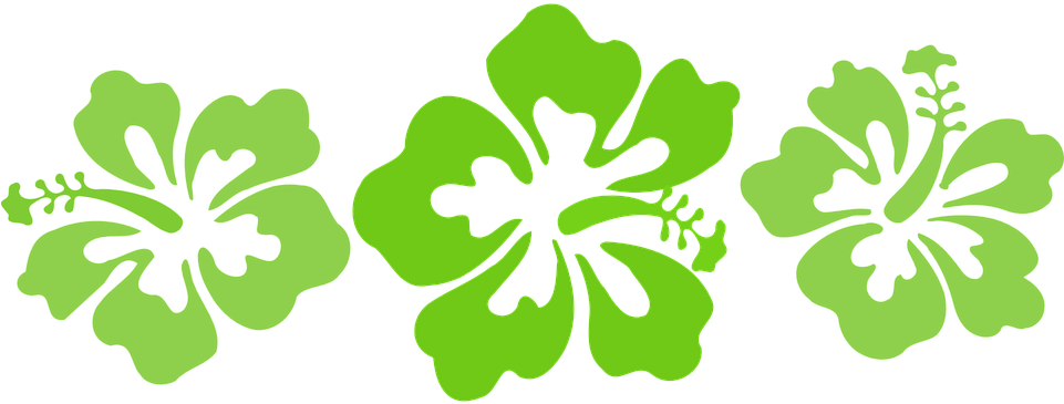 Hibiscus Silhouette Alyogyne Huegelii Clip Art - Hawaiian Flower Tattoos Black And White, HD Png Download - Transparent PNG Free Download