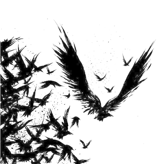 Clip Art Collection Of Free Drawing - Flock Of Ravens Tattoo, HD Png Download - Transparent PNG Free Download