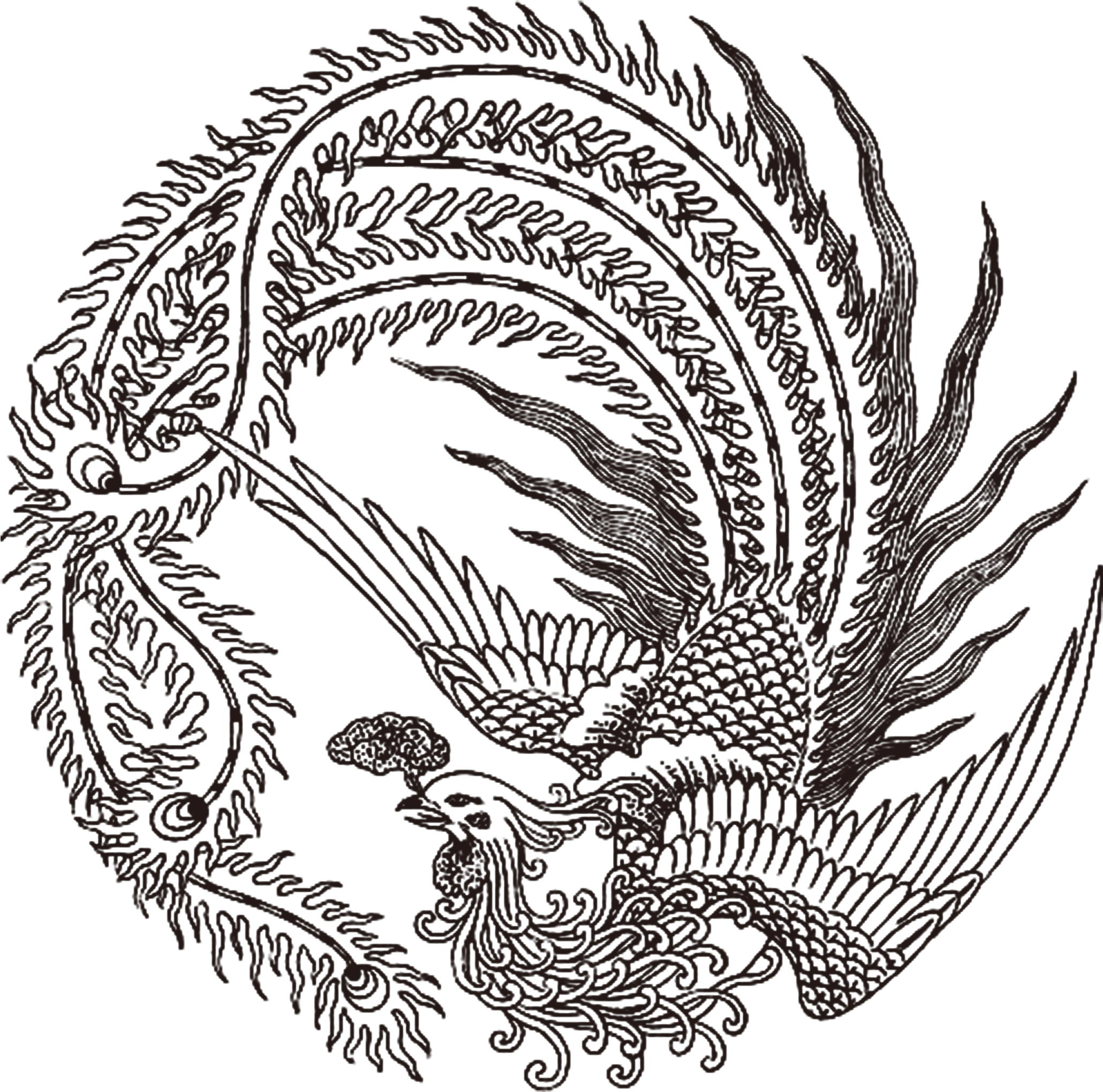 Graphic Black And White Download Fenghuang Phoenix - Chinese Phoenix Tattoo, HD Png Download - Transparent PNG Free Download