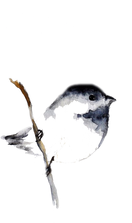 Bird Watercolor Painting Tattoo Drawing - Small Wren Bird Tattoo, HD Png Download - Transparent PNG Free Download