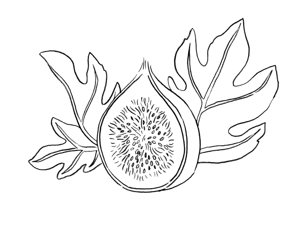 Syd"s Fig Tattoo, HD Png Download - Transparent PNG Free Download