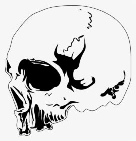 Skull, Design, Tattoo, Skeleton, Death, Dead, Head - Desain Kepala Tengkorak, HD Png Download - Tattoo Transparent PNG Free Download