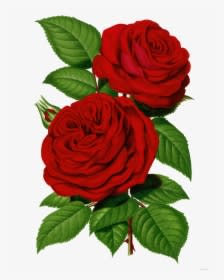 Clip Art Papirolas Coloridas Flores Pinterest - Good Morning Share Chat, HD Png Download - Transparent PNG Free Download