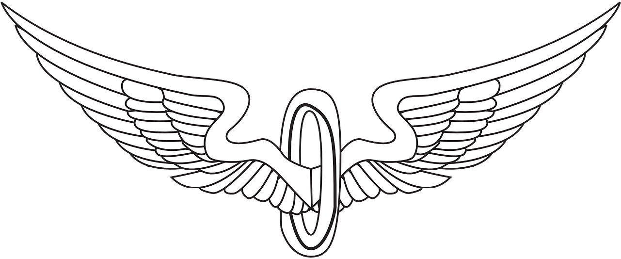 Transparent Eagle Wings Clipart - Eagle Wings, HD Png Download - Transparent PNG Free Download