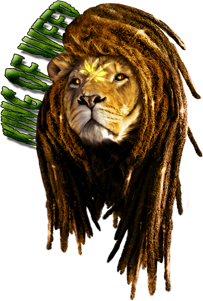 Rastafarian Lion Of Judah Tattoo - Leon Con Rastas Png, Transparent - Transparent PNG Free Download