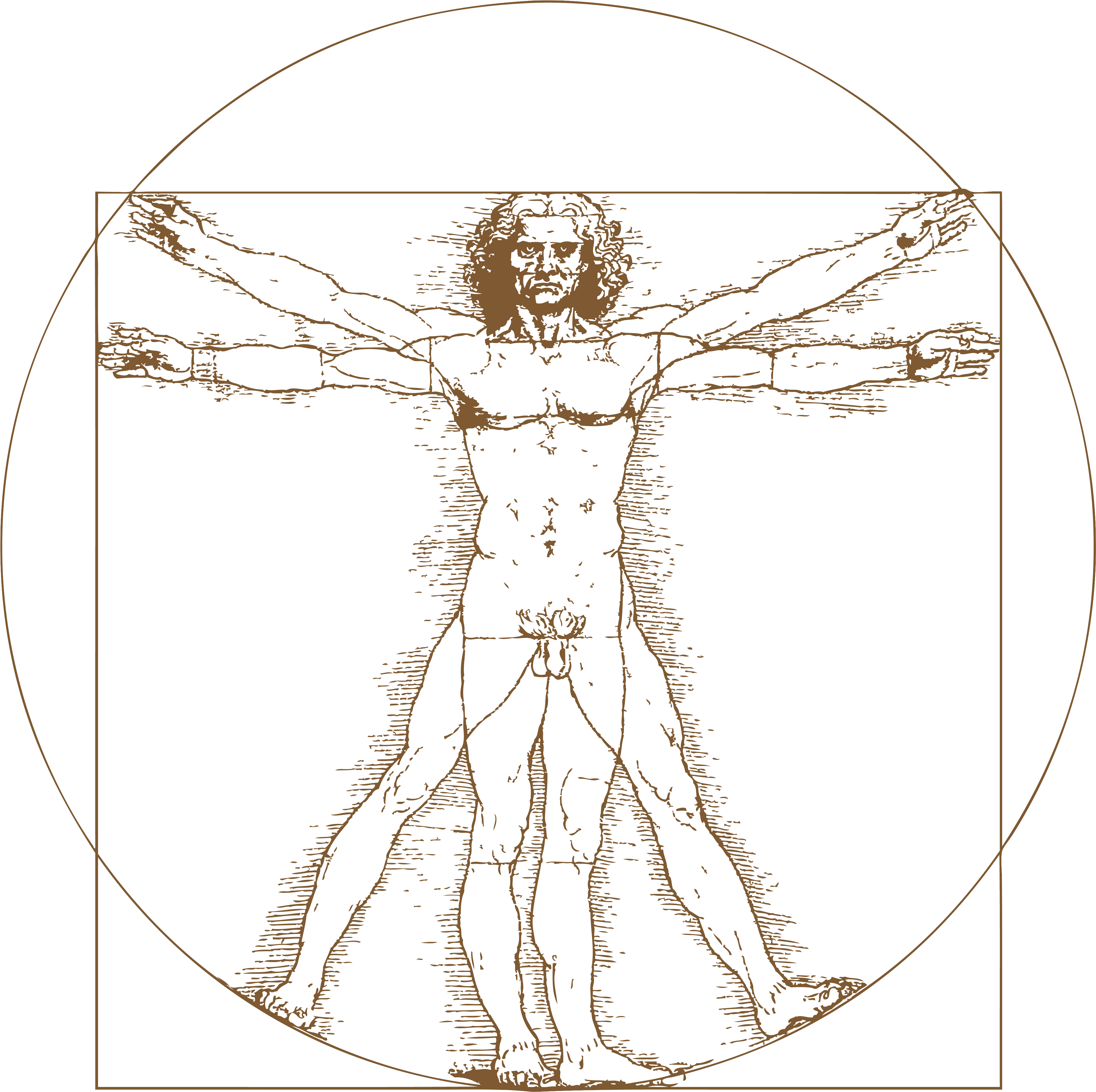 Leonardo Da Vinci Vitruvian Man Tattoo , Png Download - Leonardo Da Vinci Vitruvian Man Png, Transparent - Transparent PNG Free Download