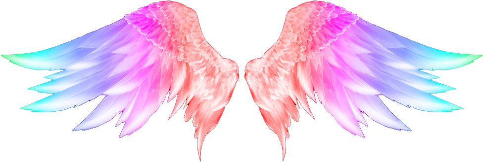 Transparent Feather Tattoo Png - Angel Wings Png Hd, Png Download - Transparent PNG Free Download