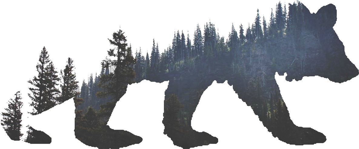 Tattoo Grizzly Bear Tiger American Woods California - Bear With Trees Tatoo, HD Png Download - Transparent PNG Free Download