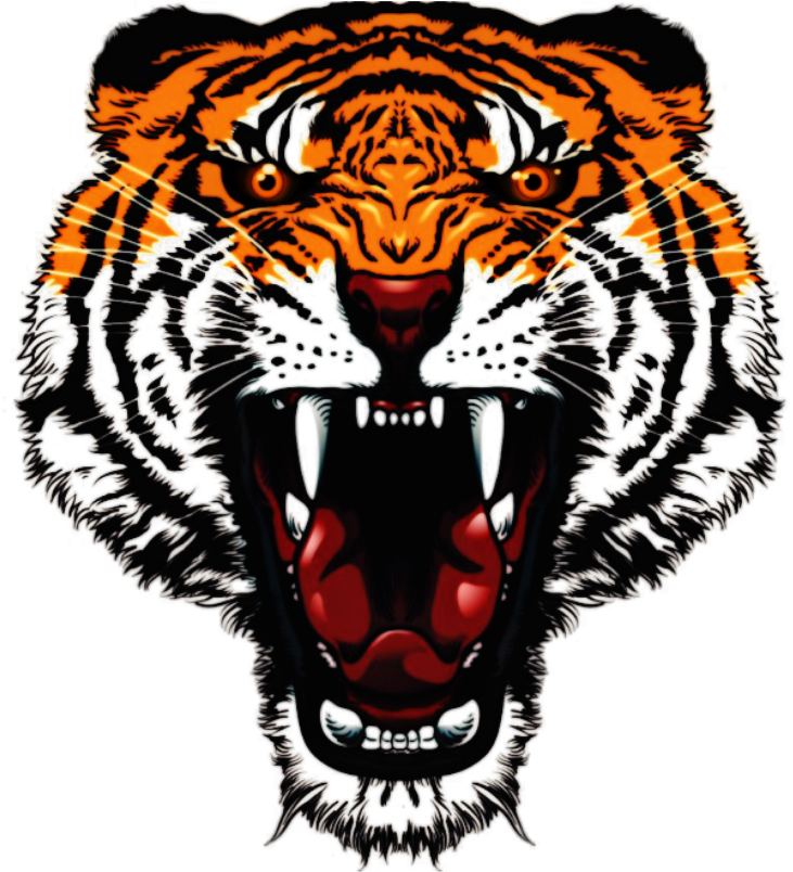 Tattoo Tiger Angry Orange Open Mouth - Transparent Tiger Face Png, Png Download - Transparent PNG Free Download