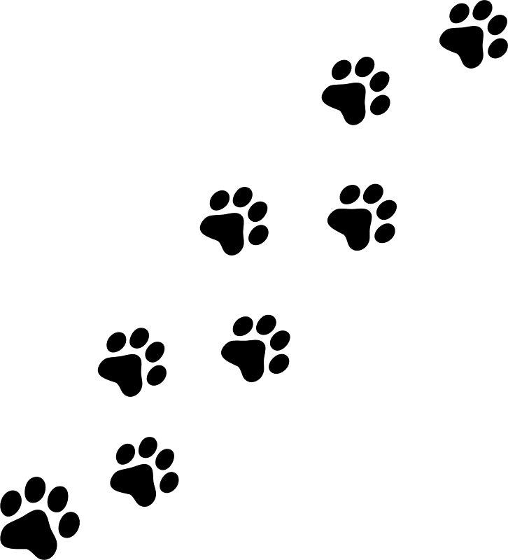 Dog Print Paw Wildcats On Paws Tattoos And Clip Art - Cat Paw Prints Clipart, HD Png Download - Transparent PNG Free Download