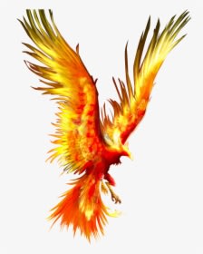 Tattoo Fireworks Mythology Firebird Phoenix Download - Phoenix Fire Bird Png, Transparent - Tattoo Transparent PNG Free Download