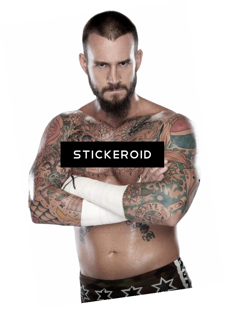 Cm Punk Wwe - Wwe Cm Punk Png, Transparent - Transparent PNG Free Download