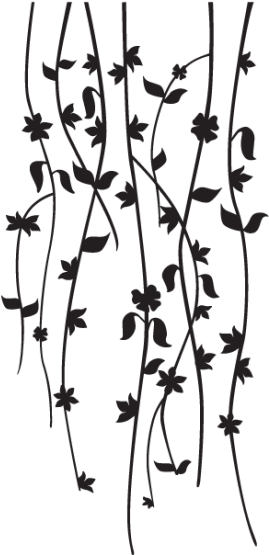 Tribal Tattoos For Ladies With Photographs And Meanings - Vine Painted On Wall, HD Png Download - Transparent PNG Free Download