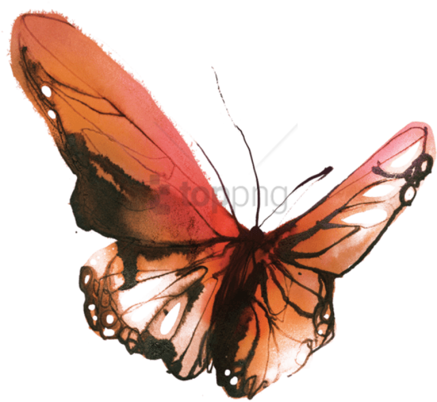 Tattly Temporary Tattoos, Watercolor Butterflies ,, HD Png Download - Transparent PNG Free Download