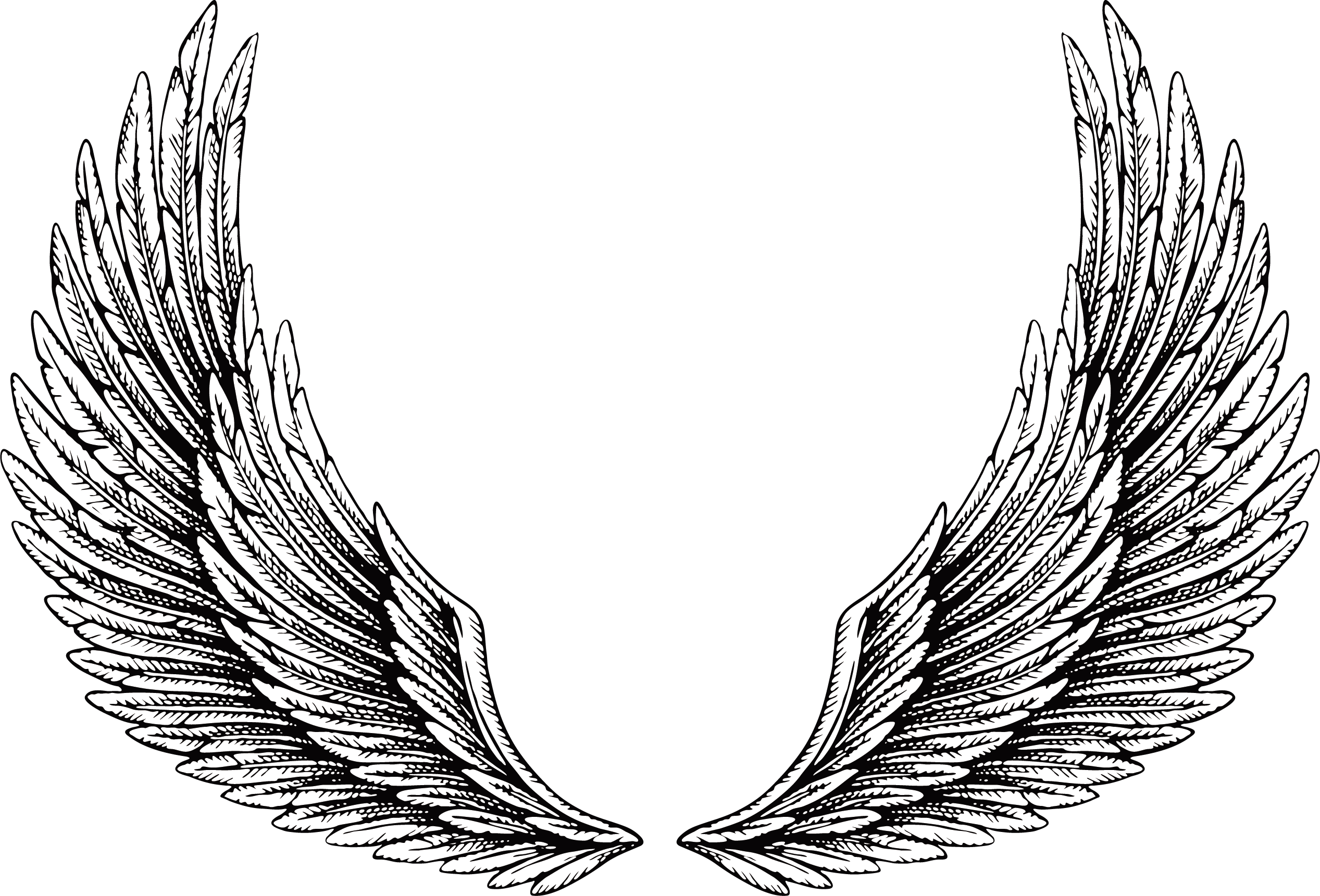 Tattoo Wing Illustration Hd Image Free Png Clipart, Transparent - Transparent PNG Free Download