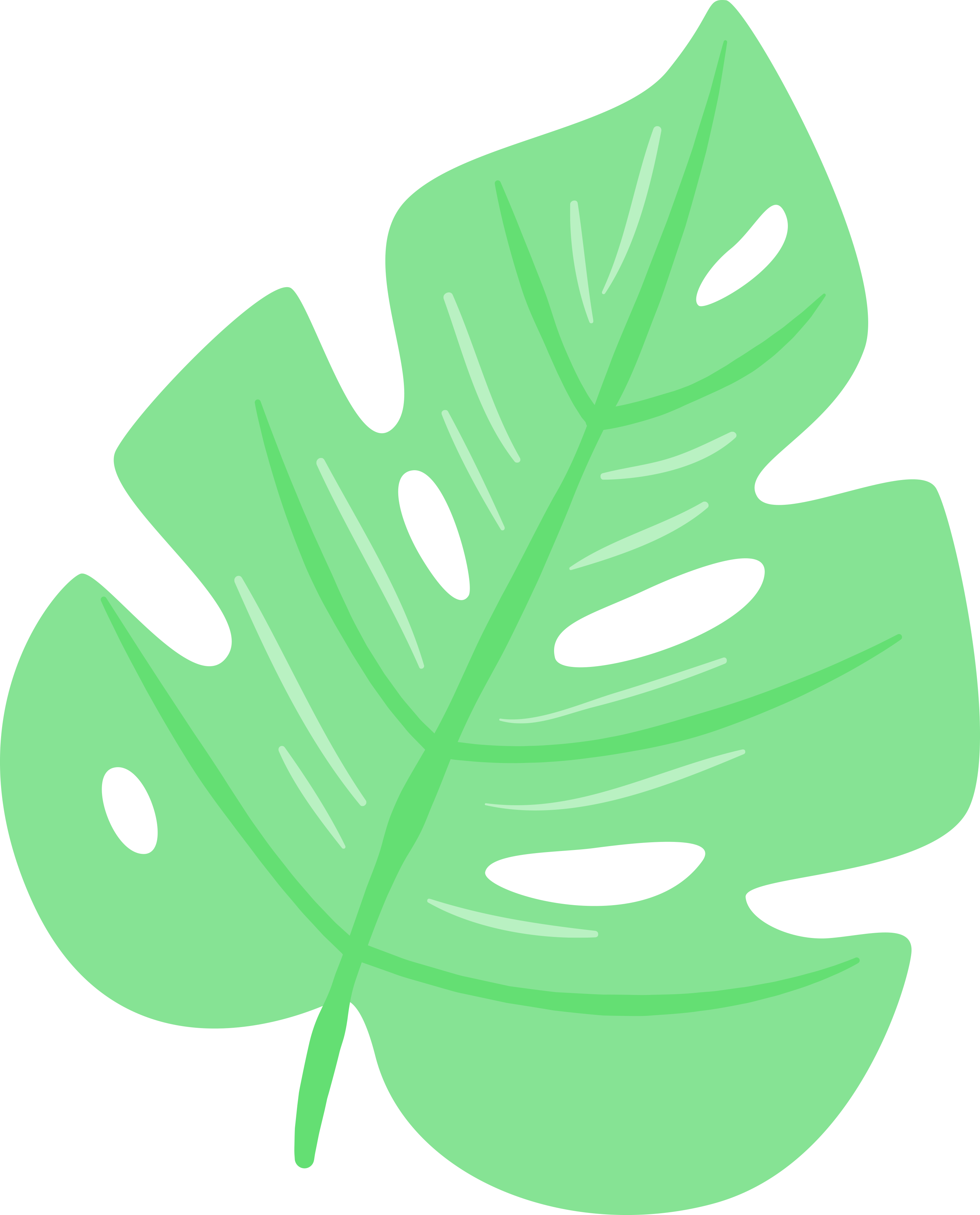 •leave Set - Summer - Free Transparent PNG Clipart Images Download. - Transparent PNG Free Download