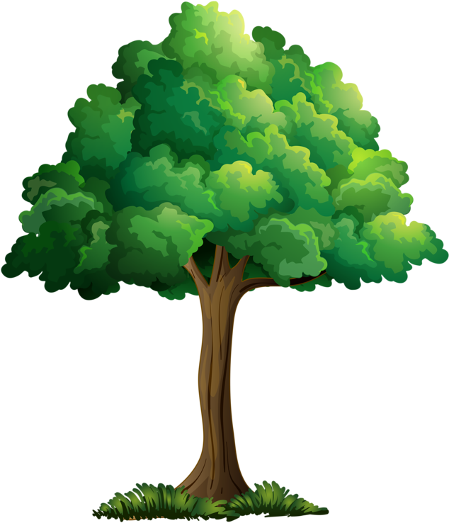 Tree Leavescartoon Pictureclip Art - Clip Art Summer Tree - Free Transparent PNG Clipart Images Download. - Transparent PNG Free Download