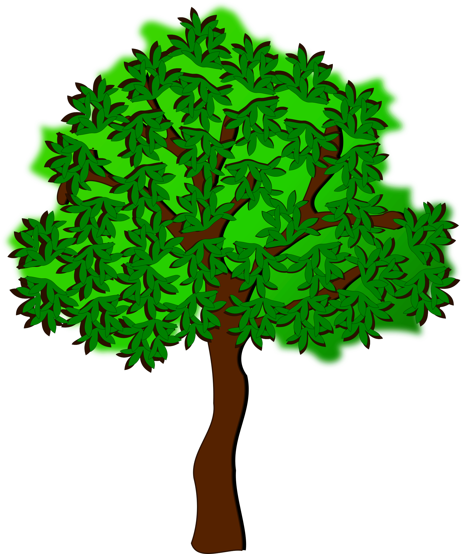 Clip Art, Flora, Nature, Plant, Tree - Summer Tree Clip Art - Free Transparent PNG Clipart Images Download. - Transparent PNG Free Download
