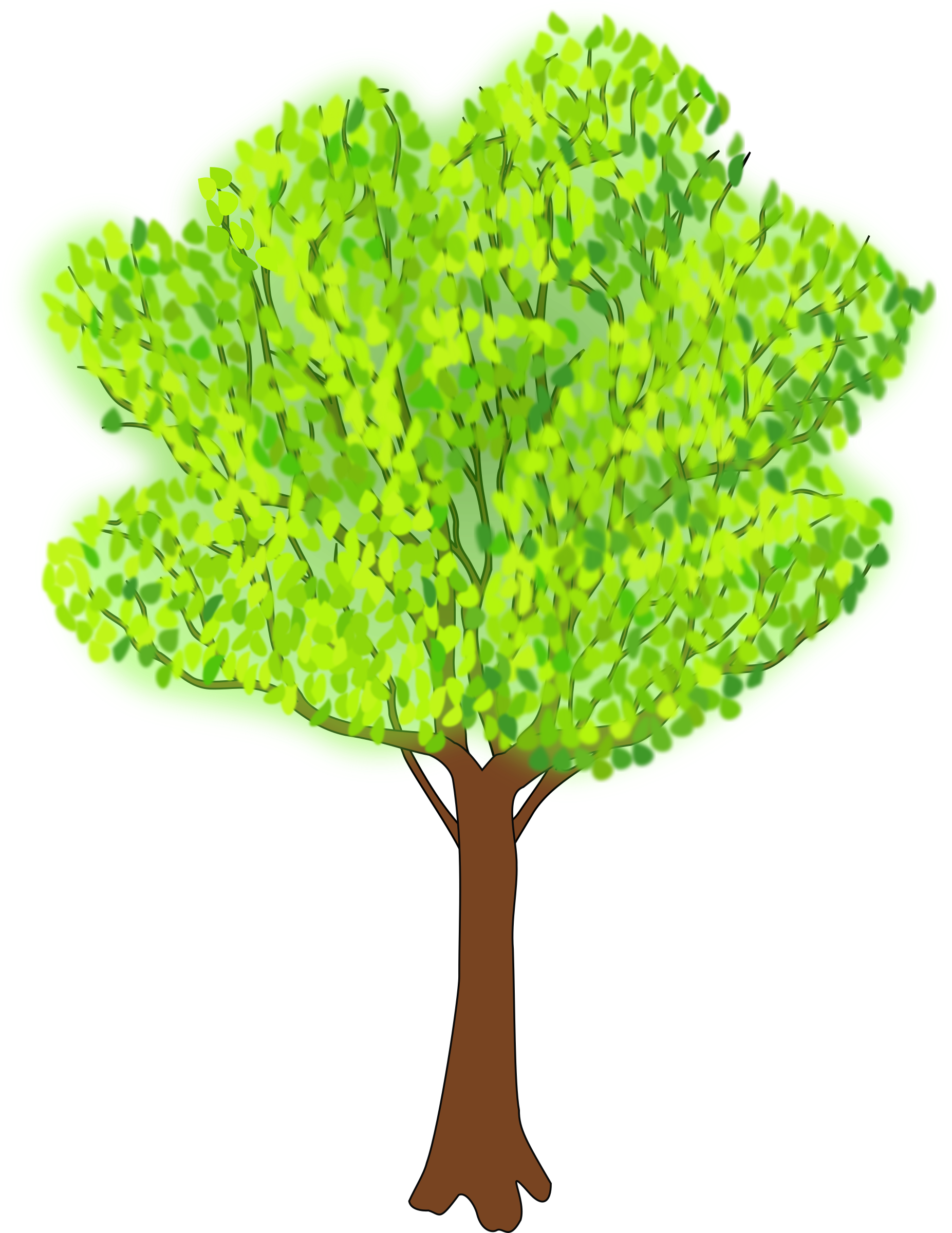 Tree In Summer - Summer Clip Art Tree - Free Transparent PNG Clipart Images Download. - Transparent PNG Free Download