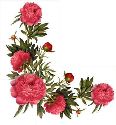 [ Img] - Earrings "small Summer Flowers" Cabochons Red - Free Transparent PNG Clipart Images Download. - Transparent PNG Free Download