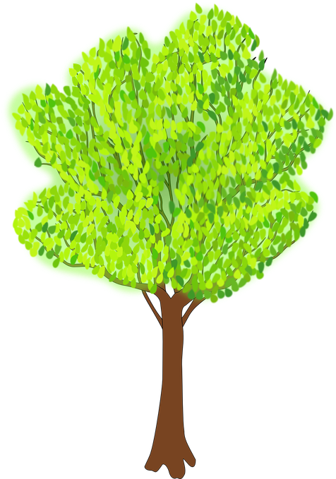 Coconut Tree Animated 11, Buy Clip Art - Clipart Of Tree In Summer - Free Transparent PNG Clipart Images Download. - Transparent PNG Free Download