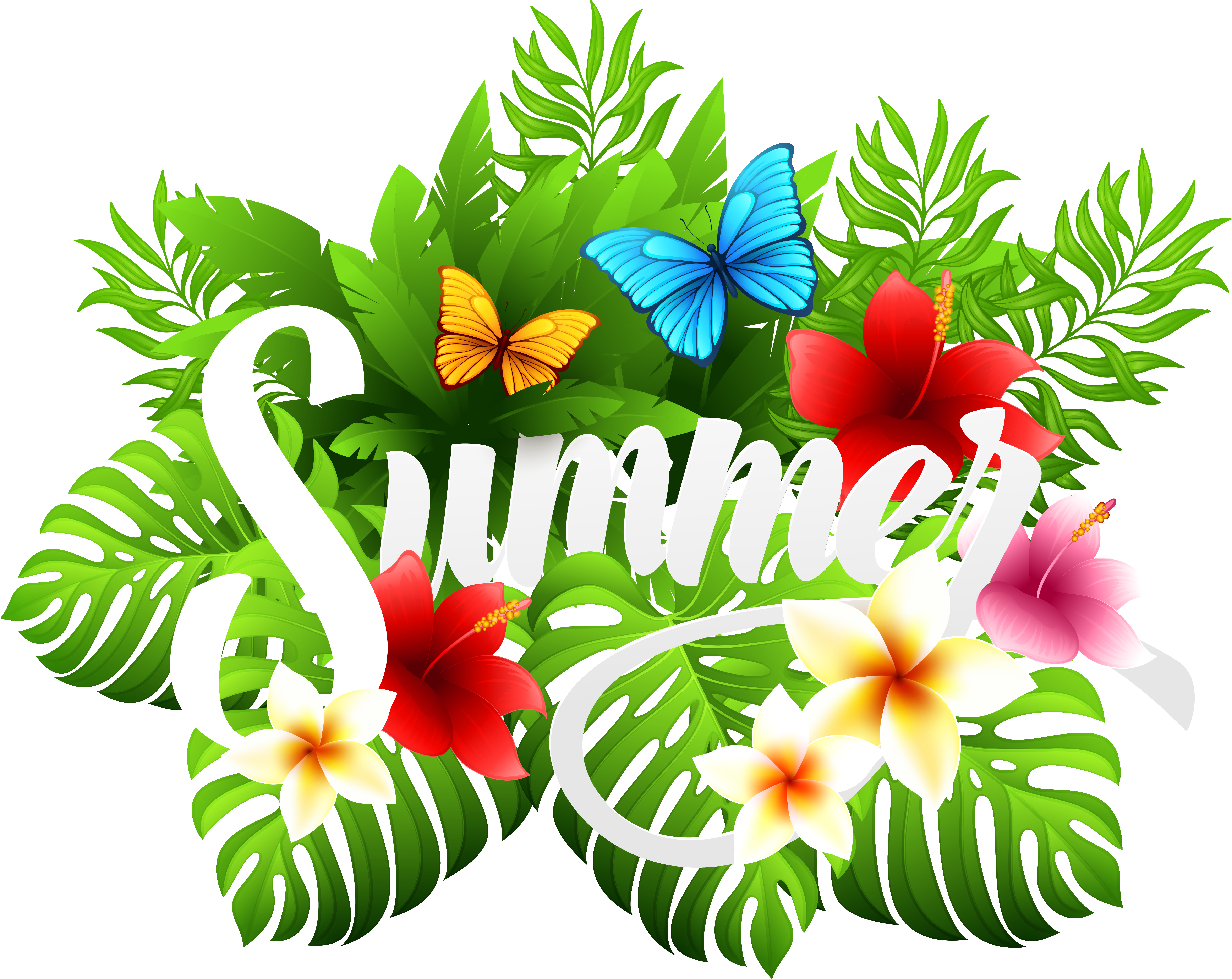 Summer Decorative Image Clipart - Summer Clip Art Png - Free Transparent PNG Clipart Images Download. - Transparent PNG Free Download