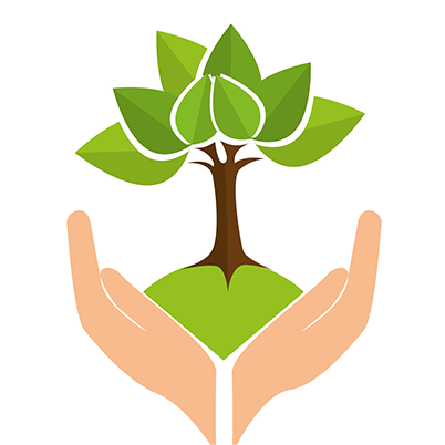 The Confidence Code - Summer School - Free Transparent PNG Clipart Images Download. - Transparent PNG Free Download