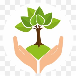 The Confidence Code - Summer School - Free Transparent PNG Clipart Images Download. - Transparent PNG Free Download