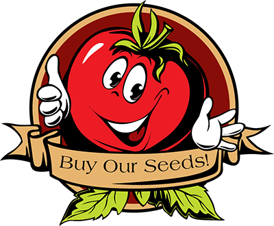 New Online Store - Tomato Summer Cartoon - Free Transparent PNG Clipart Images Download. - Transparent PNG Free Download